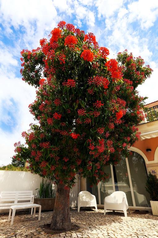 Cosy Sintra Hotel Exterior foto